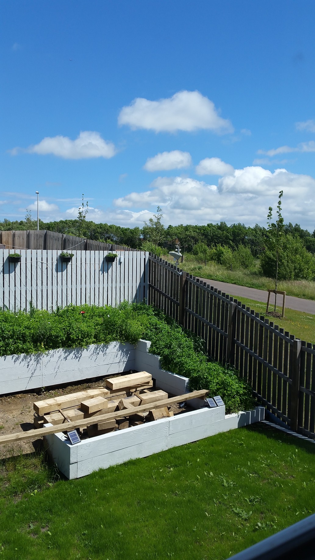 weather station ibroxbur3